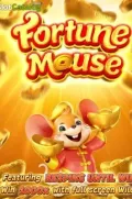 Fortune Mousse en CHIDO77 COM